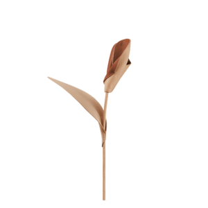 Fleur Pili - Beige