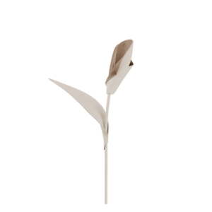 Fleur Pili - Craie