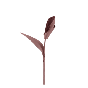 Fleur Pili - Lilas