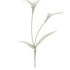 Fleur Touka - Amande Fraîche