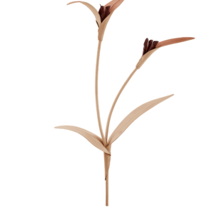 Fleur Touka - Beige